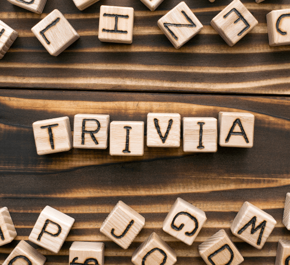 trivia web