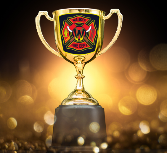 firefighters of year